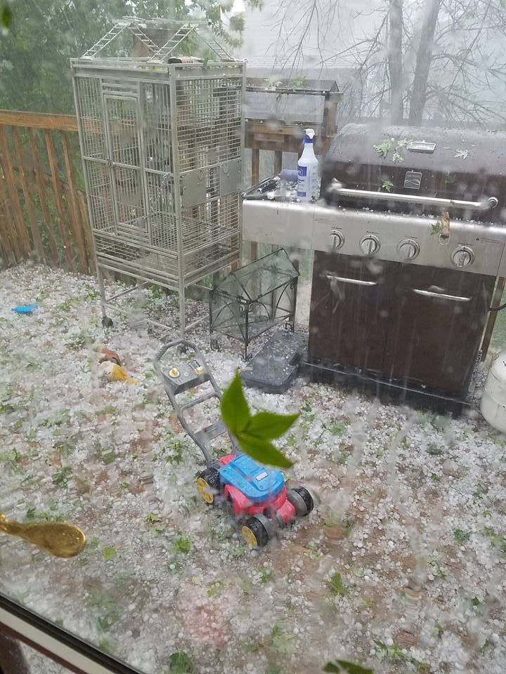 Storm